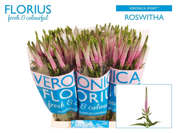 Veron Smart Roswitha