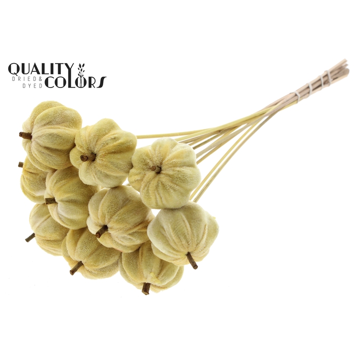 <h4>Velvet Pumpkin Ø6cm on stem Yellow</h4>