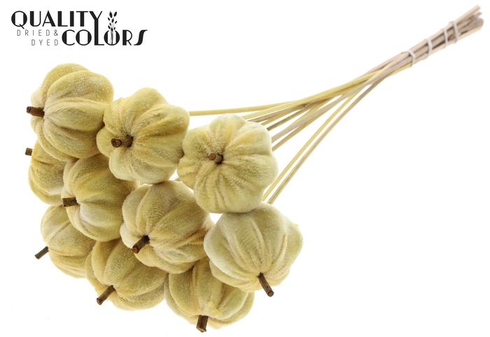 Velvet Pumpkin Ø6cm on stem Yellow