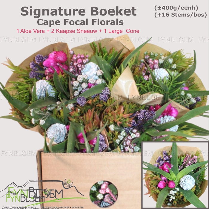 <h4>KAAPS GROE GEM IN BS</h4>