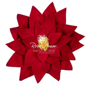 Poinsettia Red01