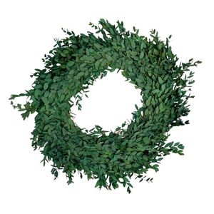 Preserved Wreath d35cm Eucalyptus Parv.