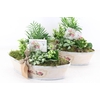 arr2 TD - Rozen boot - roze/wit