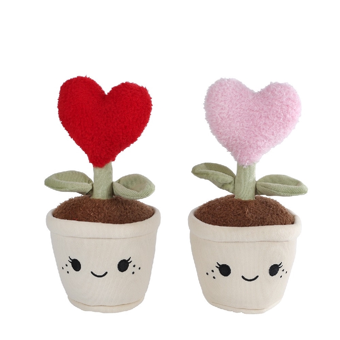 <h4>Mothersday Plant heart in pot 27cm</h4>