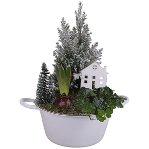 Winter Arr. Outdoor Zinc Bowl with Handles White Ø20cm 3PP