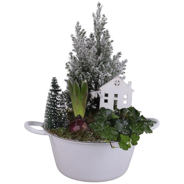<h4>Winter Arr. Outdoor Zinc Bowl with Handles White Ø20cm 3PP</h4>