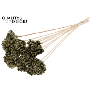 Shola New Beauty Rose 6cm on stem Wax Olive
