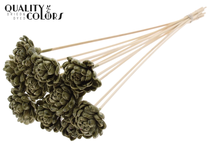 <h4>Shola New Beauty Rose 6cm on stem Wax Olive</h4>