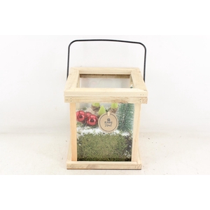 arr4 Hyacint PL - Hout lantaarn Red