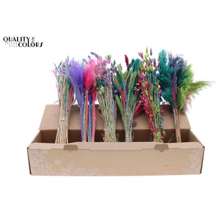 <h4>Various Driedflower Mix Colourful 7</h4>