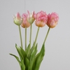 AF Tulip Parrot x5 L40cm Pink