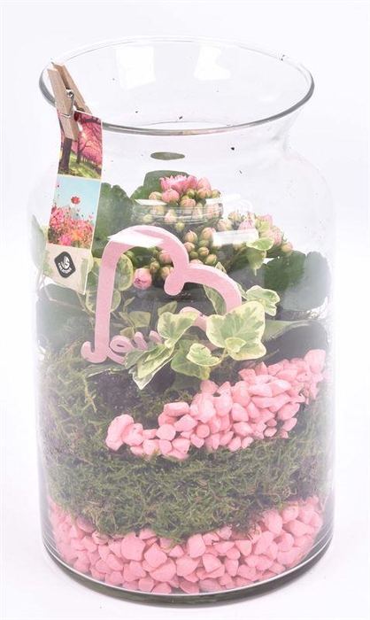 <h4>Glas cilinder met hals 14cm/h25cm</h4>