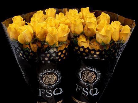 <h4>R Gr Momentum</h4>