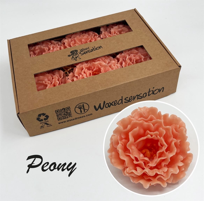 <h4>Snijgroen Snijbloemen Klb H</h4>