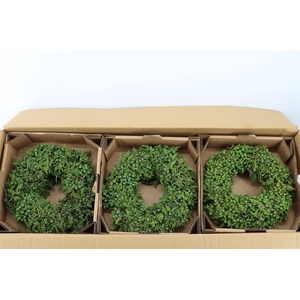 Wr Sierfruit Juniperus Green 30cm