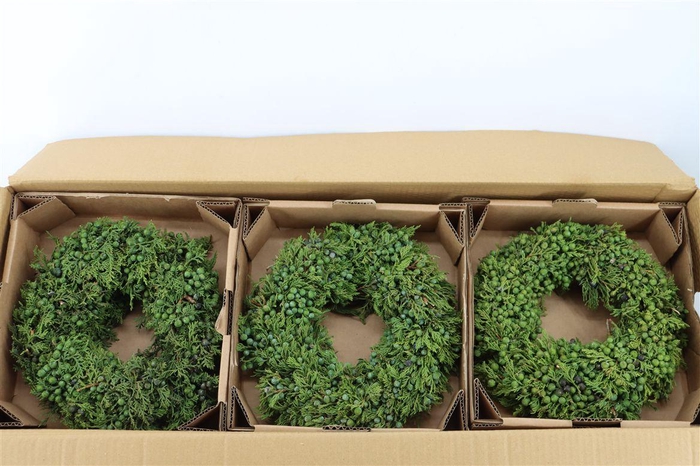 <h4>Wr Sierfruit Juniperus Green 30cm</h4>