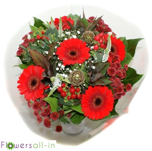 202311 Rood