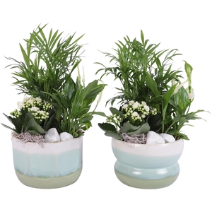 Yearround Arr. Indoor Ceramic Fresh Breeze FB675 Ø17cm 3PP