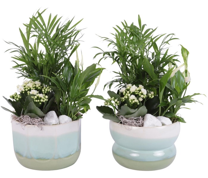 <h4>Yearround Arr. Indoor Ceramic Fresh Breeze FB675 Ø17cm 3PP</h4>