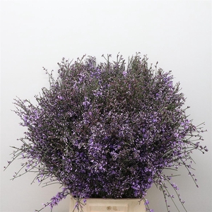 Ginster Milka P Bunch 400gram