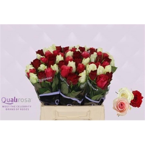 R Gr Mix Elegance Classic