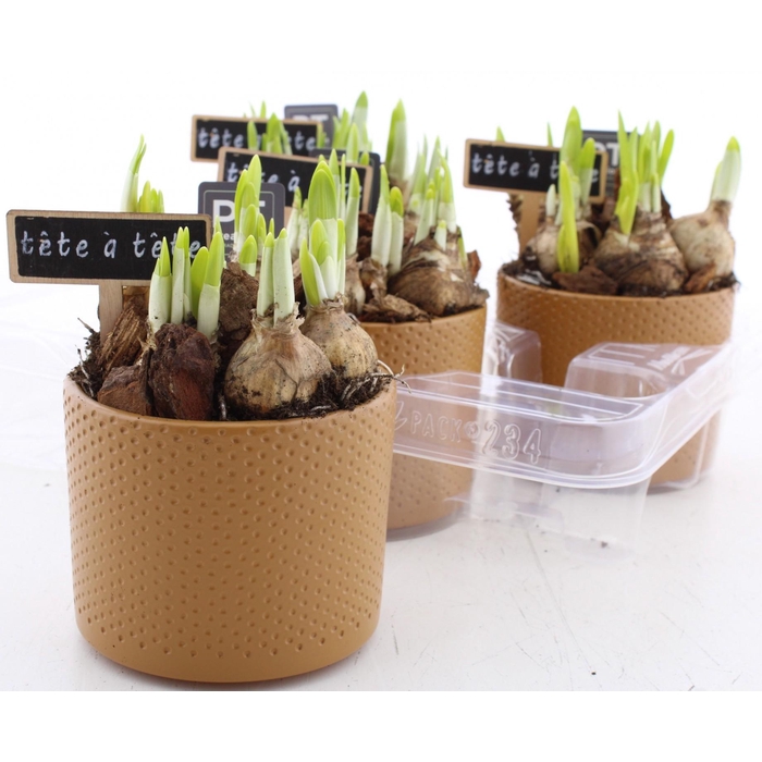 <h4>ARR N TETE A TETE</h4>