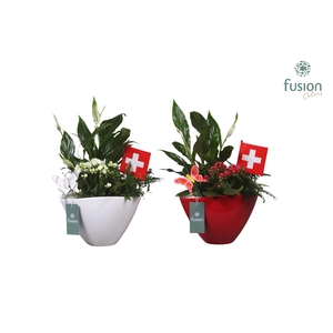 Keramiek pot met arrangement en de vlag van Zwitserland