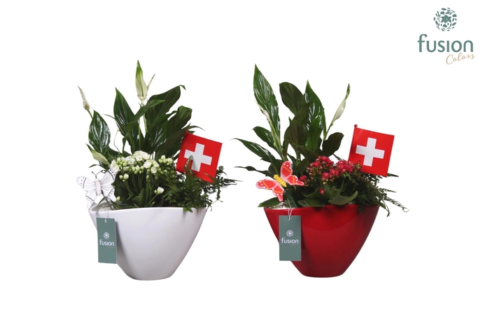 <h4>Keramiek pot met arrangement en de vlag van Zwitserland</h4>