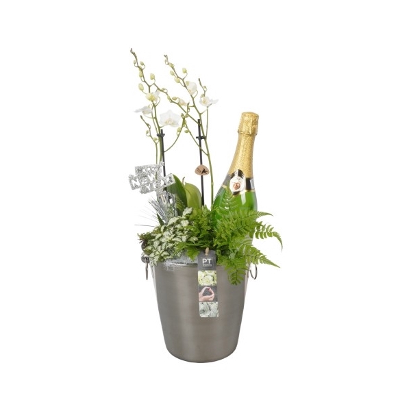 <h4>PTON5138 Arrangement New Year in metaal emmer</h4>