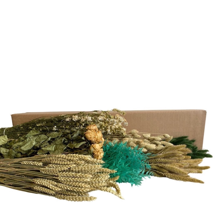 <h4>Droogbloem DIY box assorti 65-75cm</h4>