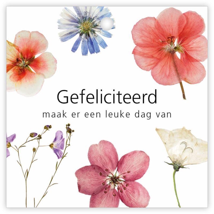 <h4>Kadokaartjes Le Jardin a 12 stuks G</h4>