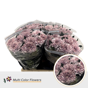 Chr G Undercover Misty Blush