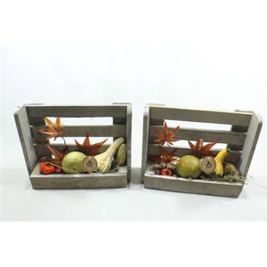 9823 HOOG GEREEDSCHAPKIST FRUIT