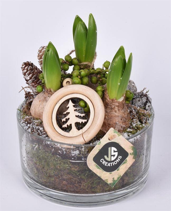 <h4>Glas schaal 15cm</h4>