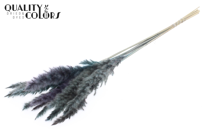 <h4>Fluffy Pampas 10pc/bunch Light Blue</h4>
