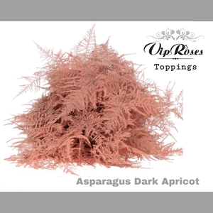 ASP OV EXTRA VEREN DARK APRICOT