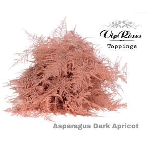 ASP OV EXTRA VEREN DARK APRICOT