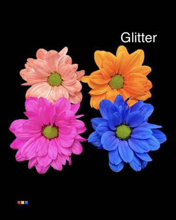 Chr T Chic Mix + Glit Bio