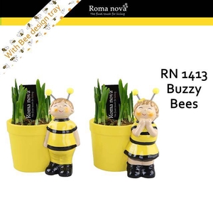 arr4 Narcis RN - Buzzy bees