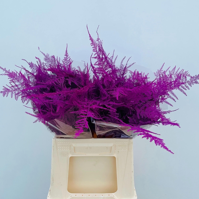 <h4>ASP OV KLB H%</h4>