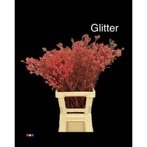 Waxflower Red + Glit Bio