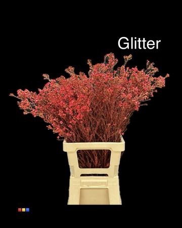 Waxflower Red + Glit Bio