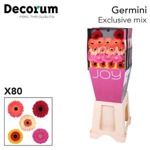 Germini Mix Exclusive Diamond