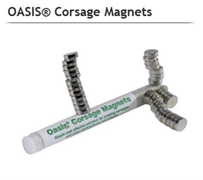 <h4>OASIS 42-06095 CORSAGEMAGNETEN</h4>