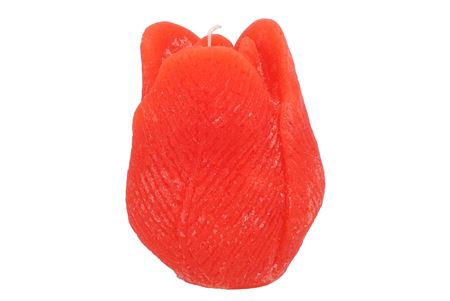 <h4>Candle Tulip Orange 10x13cm Nm</h4>
