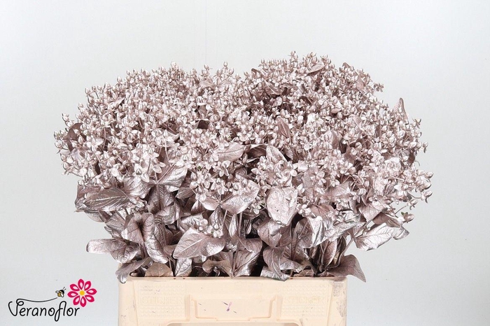 <h4>HYP OV KLB H%</h4>