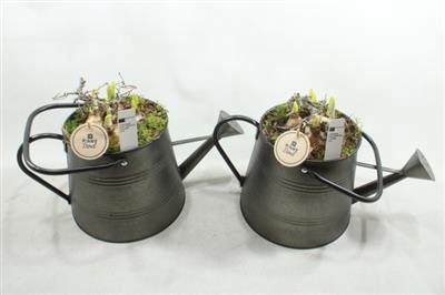 <h4>6146 GIETER TETE</h4>