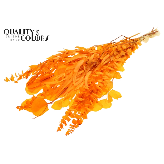 <h4>Eucalyptus Mix Preserved Bleached Orange</h4>