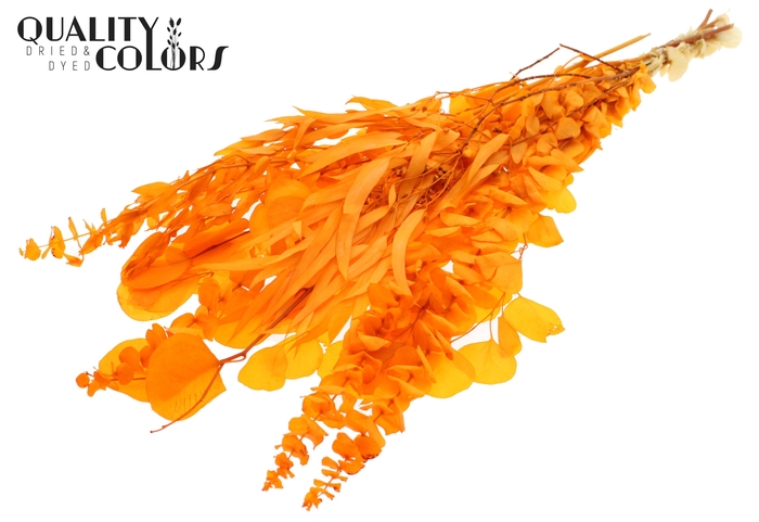 Eucalyptus Mix Preserved Bleached Orange