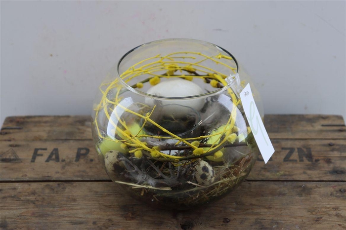 Arr Hipp Mosbol Bruine Dennenappel Mo-09